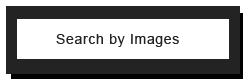 Image Search